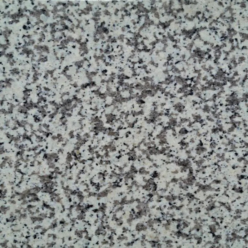 Granito Moteado